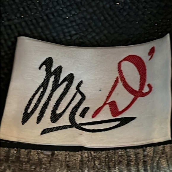 Mr. D Gray Beret Hat with Flower Rhinestones and Feather Trim - Picture 8 of 9